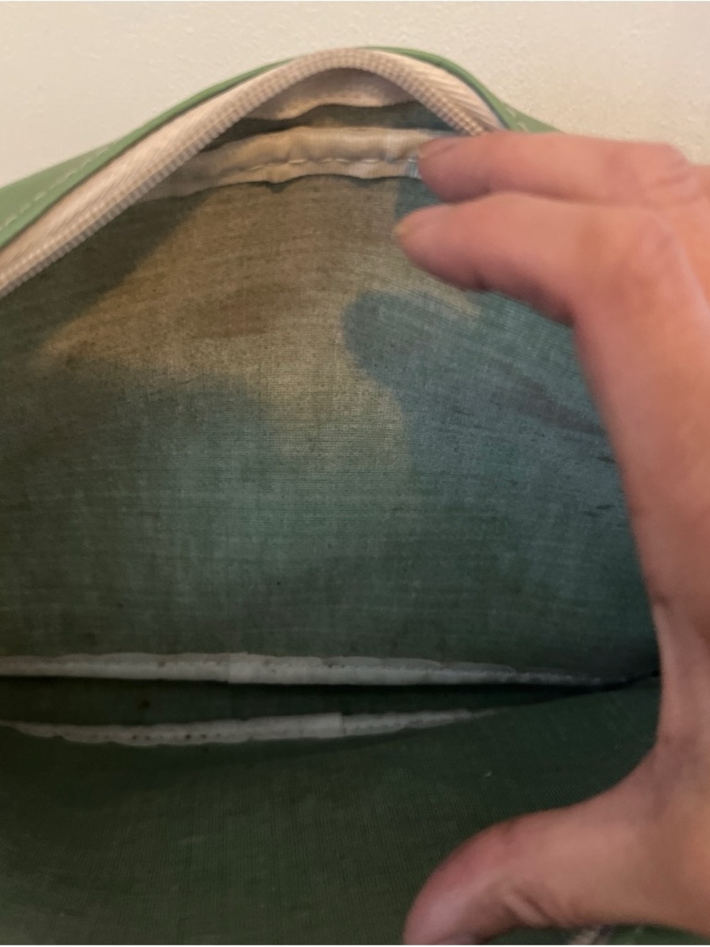 Green Paul Frank bag